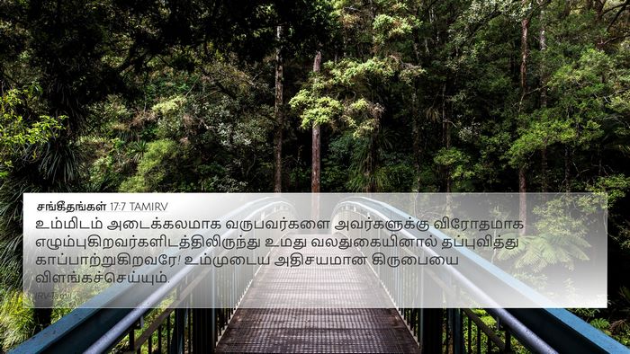 சங்கீதங்கள் 17:7 TAMIRV Bible Verse Image