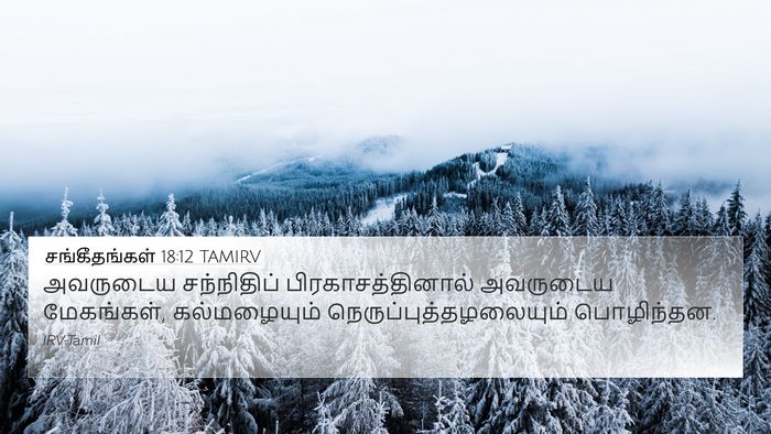 சங்கீதங்கள் 18:12 TAMIRV Bible Verse Image