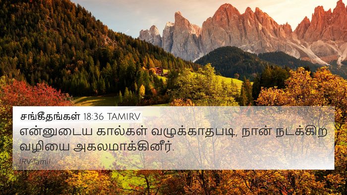 சங்கீதங்கள் 18:36 TAMIRV Bible Verse Image