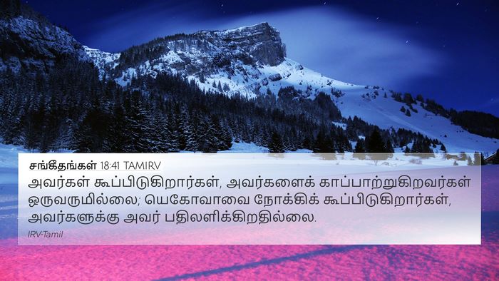 சங்கீதங்கள் 18:41 TAMIRV Bible Verse Image
