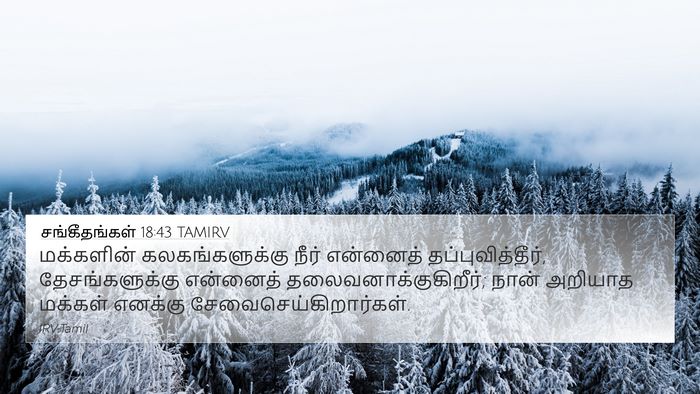 சங்கீதங்கள் 18:43 TAMIRV Bible Verse Image