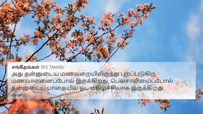 சங்கீதங்கள் 19:5 TAMIRV Bible Verse Image