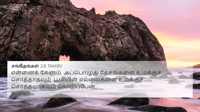 சங்கீதங்கள் 2:8 TAMIRV Bible Verse Image