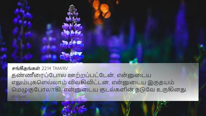 சங்கீதங்கள் 22:14 TAMIRV Bible Verse Image