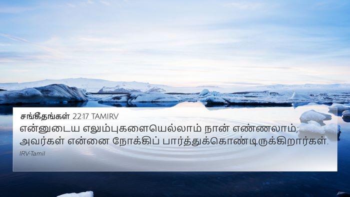 சங்கீதங்கள் 22:17 TAMIRV Bible Verse Image