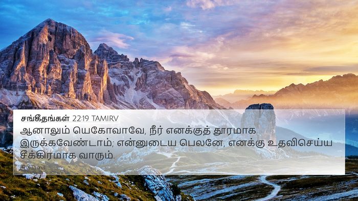 சங்கீதங்கள் 22:19 TAMIRV Bible Verse Image