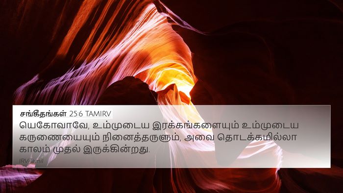 சங்கீதங்கள் 25:6 TAMIRV Bible Verse Image