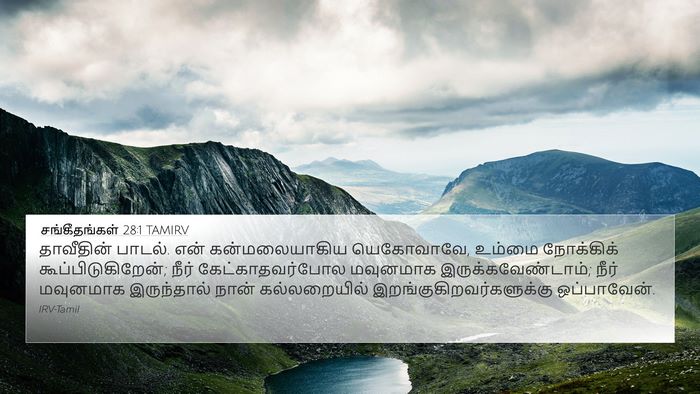 சங்கீதங்கள் 28:1 TAMIRV Bible Verse Image
