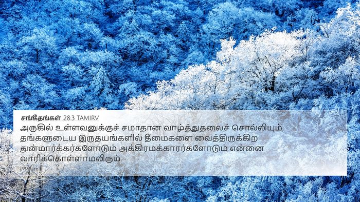 சங்கீதங்கள் 28:3 TAMIRV Bible Verse Image