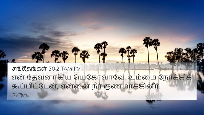 சங்கீதங்கள் 30:2 TAMIRV Bible Verse Image