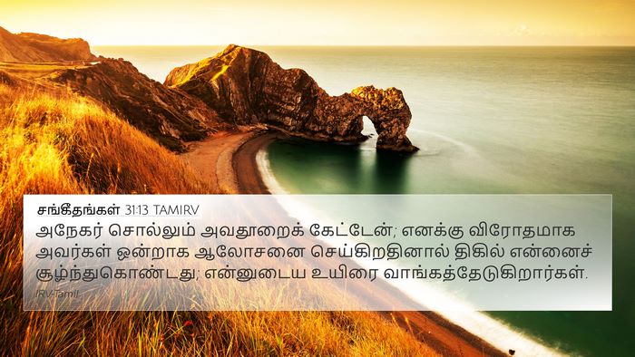 சங்கீதங்கள் 31:13 TAMIRV Bible Verse Image