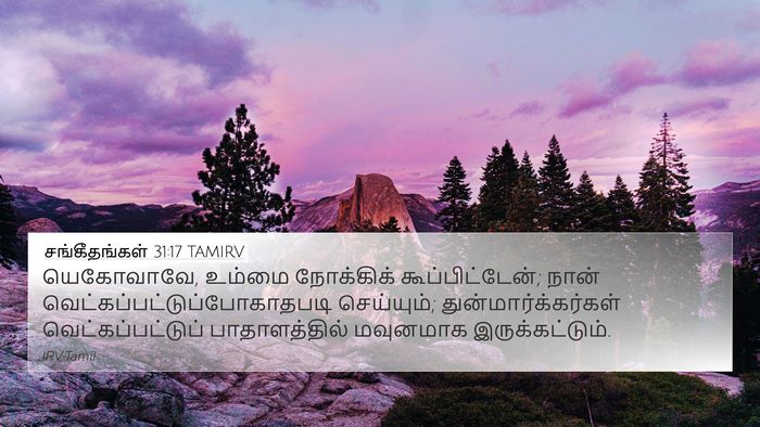 சங்கீதங்கள் 31:17 TAMIRV Bible Verse Image