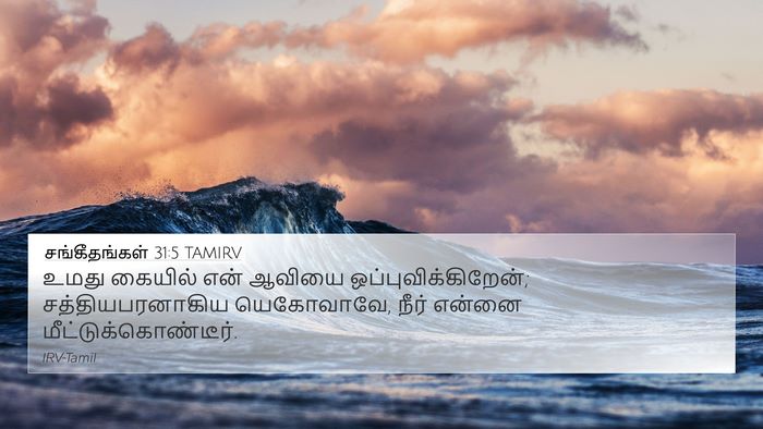 சங்கீதங்கள் 31:5 TAMIRV Bible Verse Image
