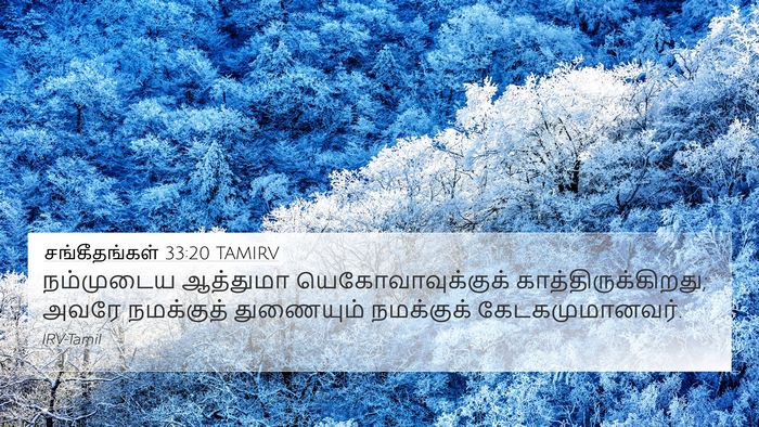சங்கீதங்கள் 33:20 TAMIRV Bible Verse Image