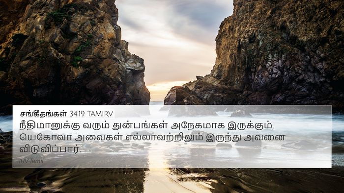 சங்கீதங்கள் 34:19 TAMIRV Bible Verse Image