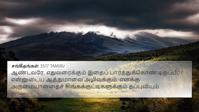 சங்கீதங்கள் 35:17 TAMIRV Bible Verse Image