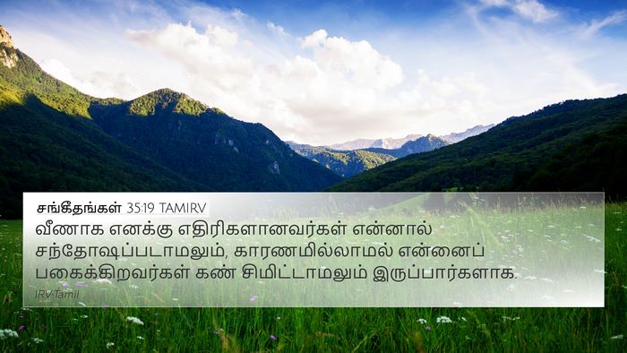 சங்கீதங்கள் 35:19 TAMIRV Bible Verse Image
