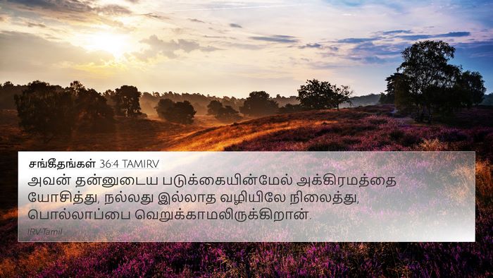 சங்கீதங்கள் 36:4 TAMIRV Bible Verse Image