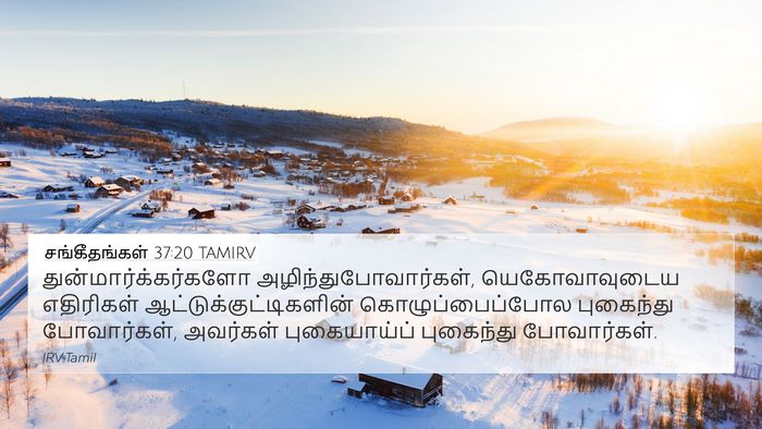 சங்கீதங்கள் 37:20 TAMIRV Bible Verse Image