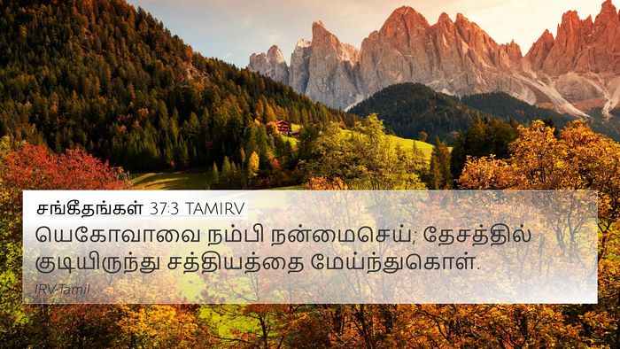 சங்கீதங்கள் 37:3 TAMIRV Bible Verse Image