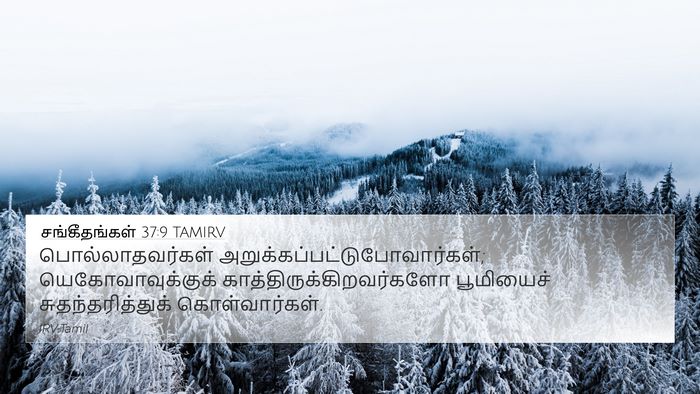 சங்கீதங்கள் 37:9 TAMIRV Bible Verse Image