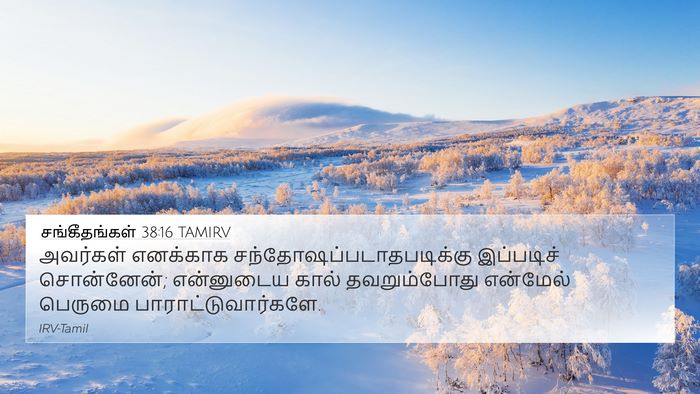 சங்கீதங்கள் 38:16 TAMIRV Bible Verse Image