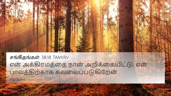 சங்கீதங்கள் 38:18 TAMIRV 4K Wallpaper - என் அக்கிரமத்தை - 4K Wallpaper Bible Verse
