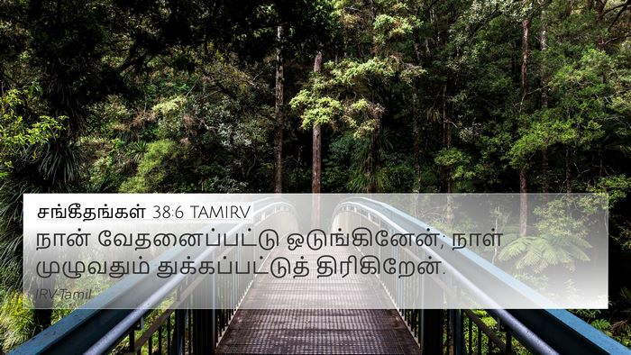 சங்கீதங்கள் 38:6 TAMIRV Bible Verse Image