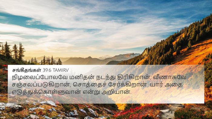சங்கீதங்கள் 39:6 TAMIRV Bible Verse Image