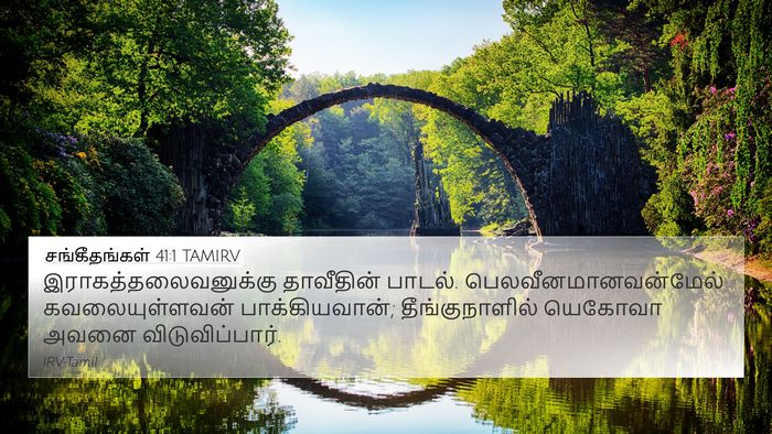 சங்கீதங்கள் 41:1 TAMIRV Bible Verse Image