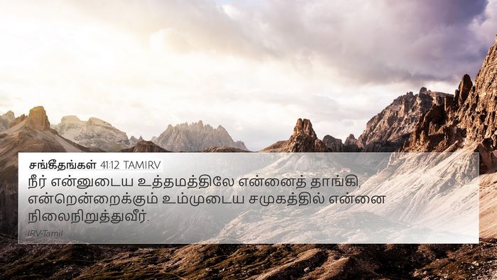 சங்கீதங்கள் 41:12 TAMIRV Bible Verse Image