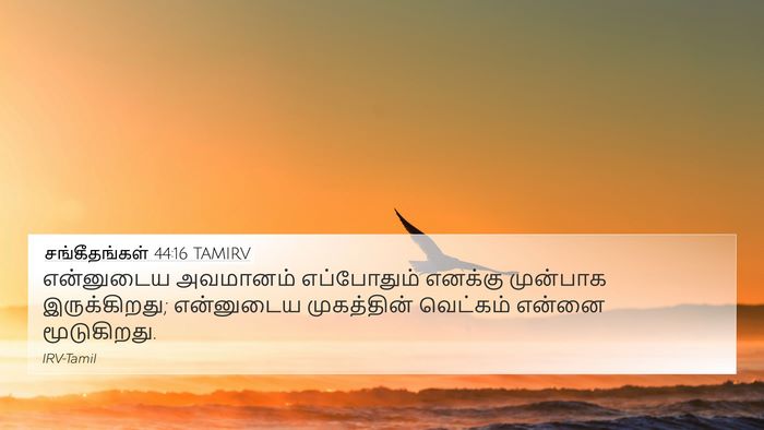 சங்கீதங்கள் 44:16 TAMIRV Bible Verse Image