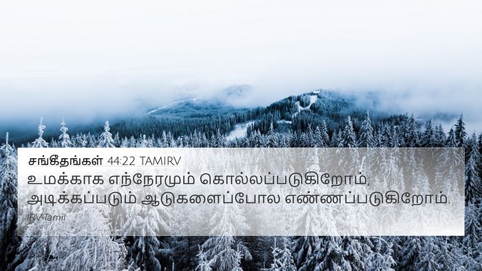 சங்கீதங்கள் 44:22 TAMIRV Bible Verse Image