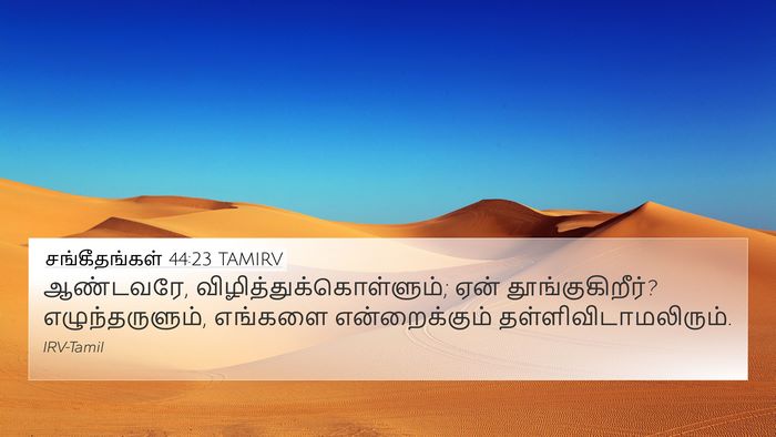 சங்கீதங்கள் 44:23 TAMIRV Bible Verse Image