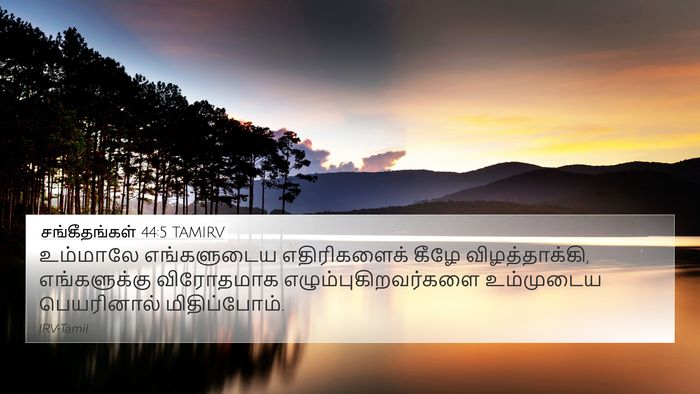 சங்கீதங்கள் 44:5 TAMIRV Bible Verse Image