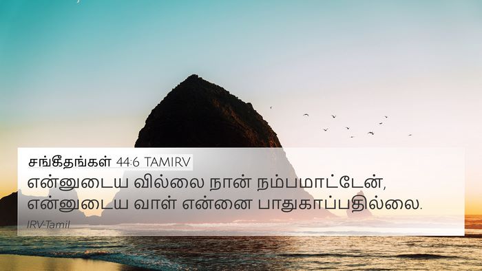 சங்கீதங்கள் 44:6 TAMIRV Bible Verse Image