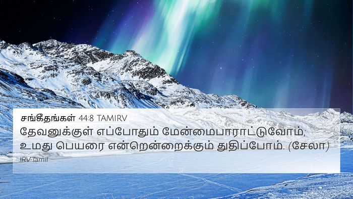 சங்கீதங்கள் 44:8 TAMIRV Bible Verse Image