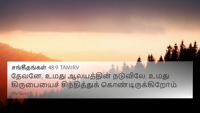 சங்கீதங்கள் 48:9 TAMIRV 4K Wallpaper - தேவனே, உமது - 4K Wallpaper Bible Verse
