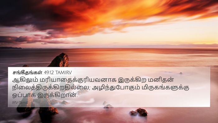 சங்கீதங்கள் 49:12 TAMIRV Bible Verse Image