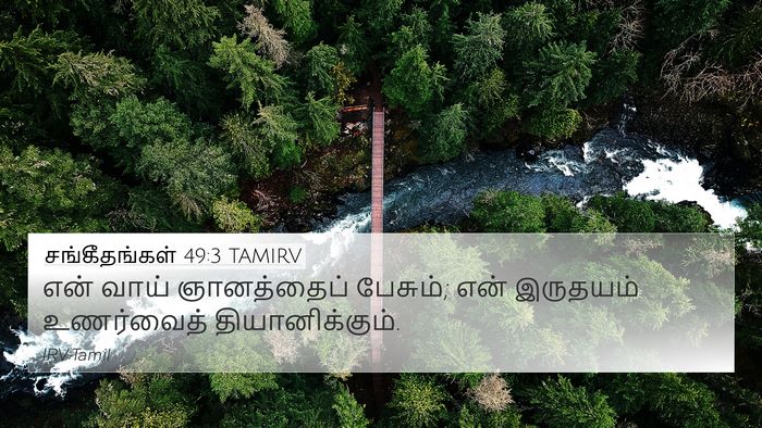 சங்கீதங்கள் 49:3 TAMIRV Bible Verse Image