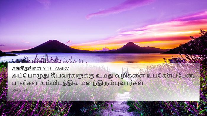 சங்கீதங்கள் 51:13 TAMIRV Bible Verse Image
