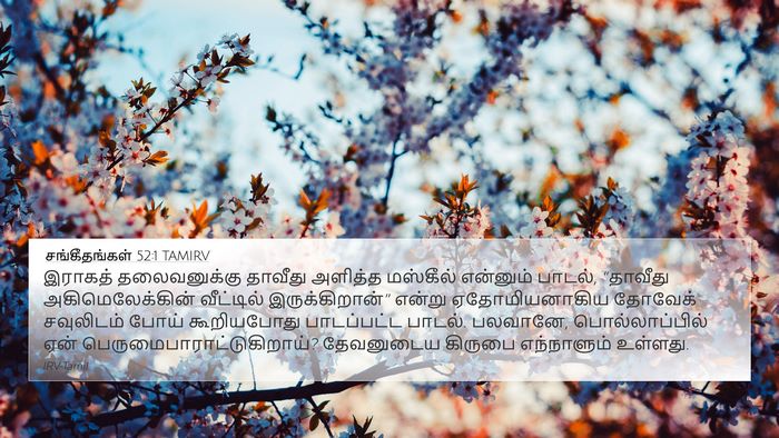 சங்கீதங்கள் 52:1 TAMIRV 4K Wallpaper - இராகத் தலைவனுக்கு - 4K Wallpaper Bible Verse