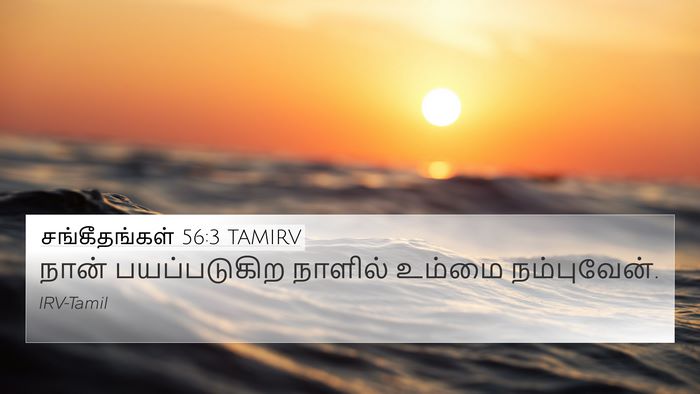 சங்கீதங்கள் 56:3 TAMIRV Bible Verse Image