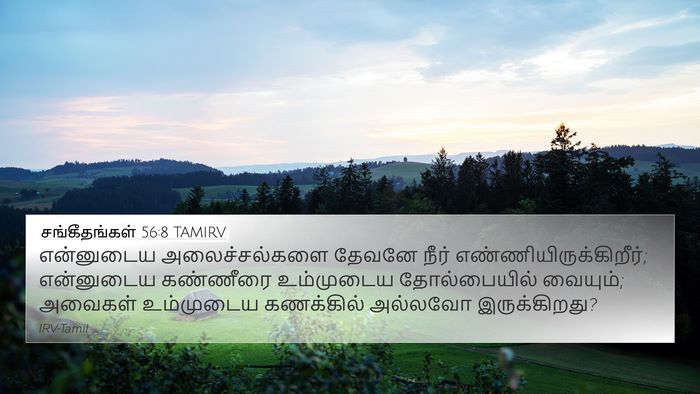 சங்கீதங்கள் 56:8 TAMIRV Bible Verse Image