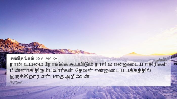 சங்கீதங்கள் 56:9 TAMIRV Bible Verse Image