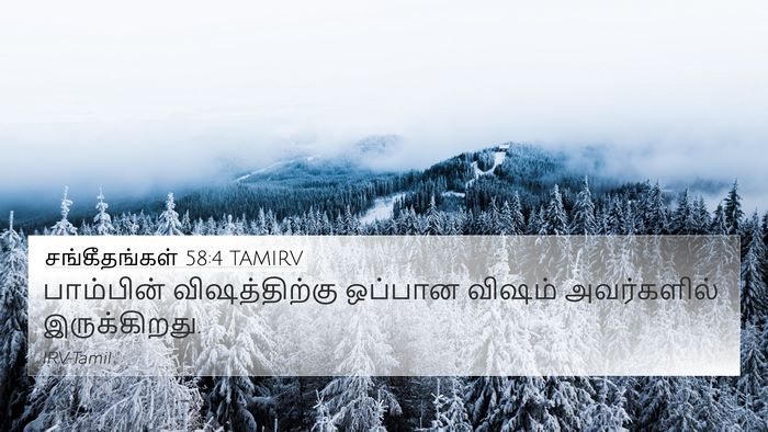 சங்கீதங்கள் 58:4 TAMIRV Bible Verse Image