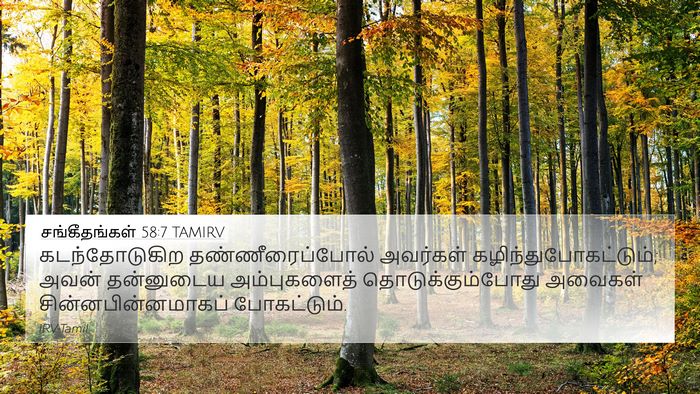 சங்கீதங்கள் 58:7 TAMIRV Bible Verse Image