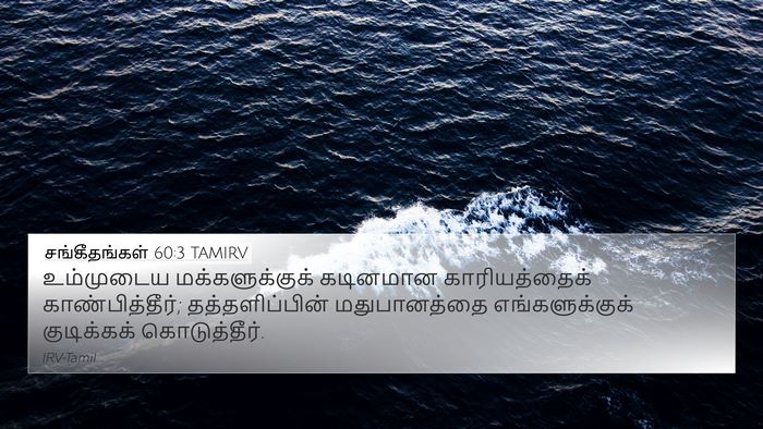 சங்கீதங்கள் 60:3 TAMIRV Bible Verse Image