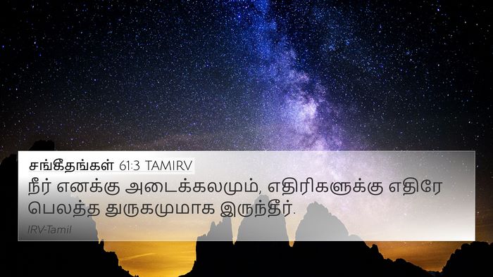 சங்கீதங்கள் 61:3 TAMIRV 4K Wallpaper - நீர் எனக்கு - 4K Wallpaper Bible Verse