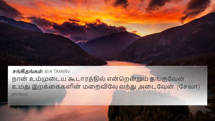 சங்கீதங்கள் 61:4 TAMIRV Bible Verse Image